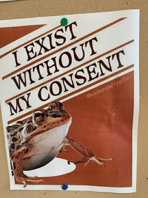 i-exist-without-my-consent-campuseryptic-62658358